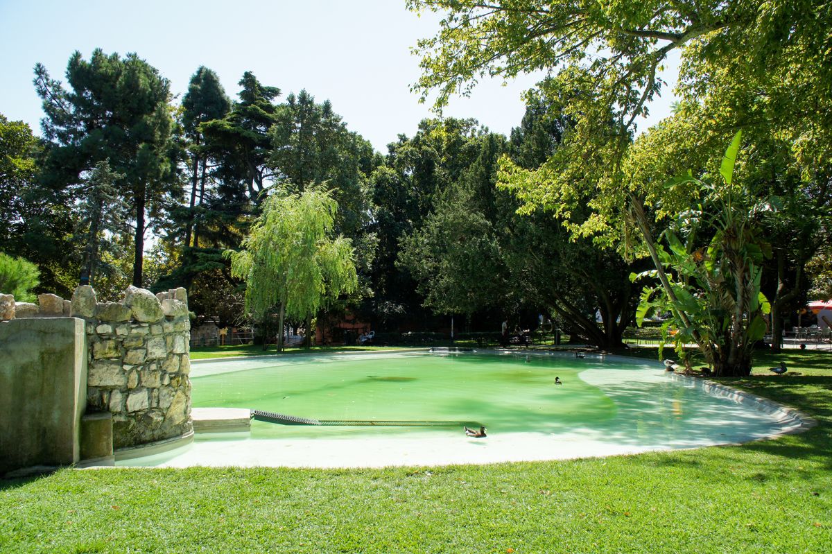 Жардим Браанкамп Фрейре