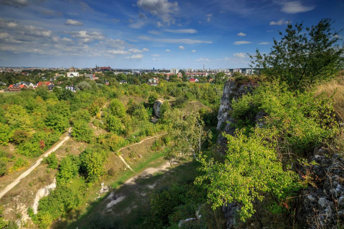 Закшувек и скалки Твардовского
