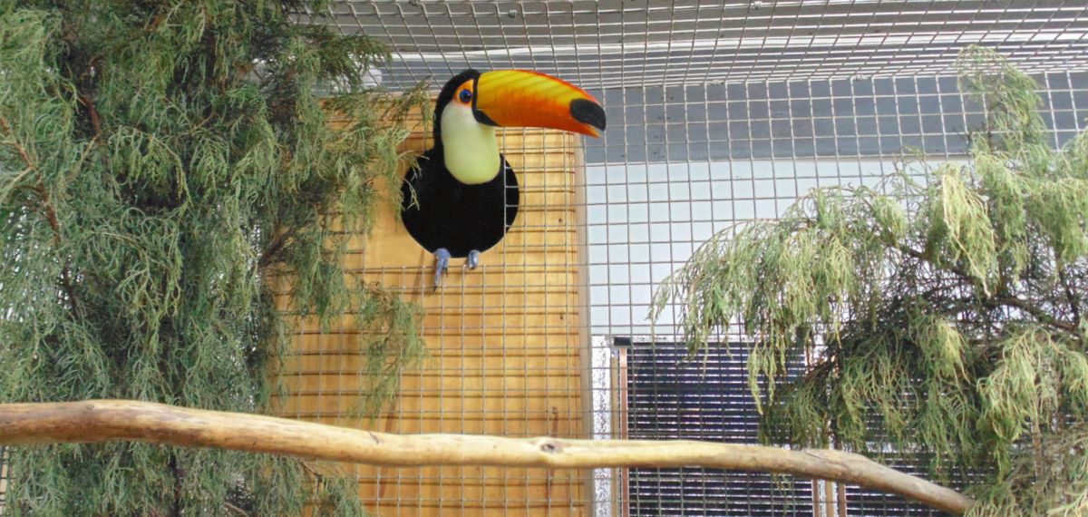 Контактный зоопарк Мир Животных