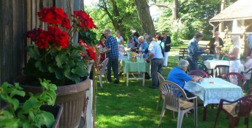 Цвейн салаш