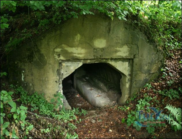 Бункер Штаера