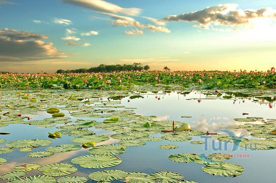 Озеро Цветочное