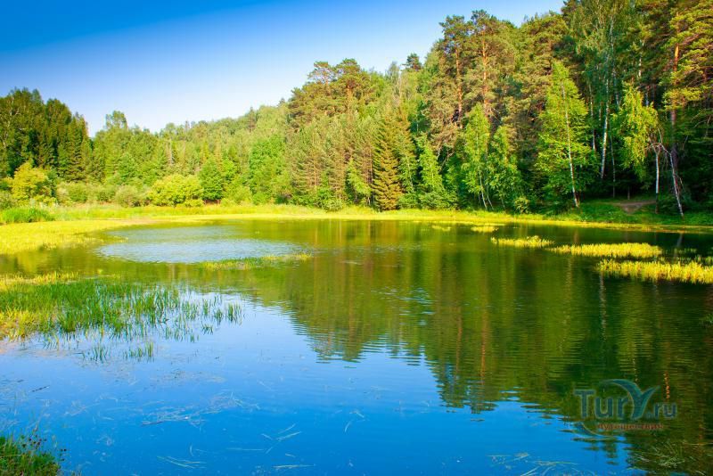 Центральный сибирский ботанический сад Сибирского отделения Российской академии наук