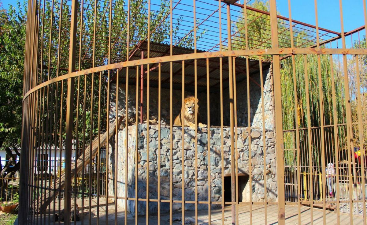 Симферопольский зоопарк