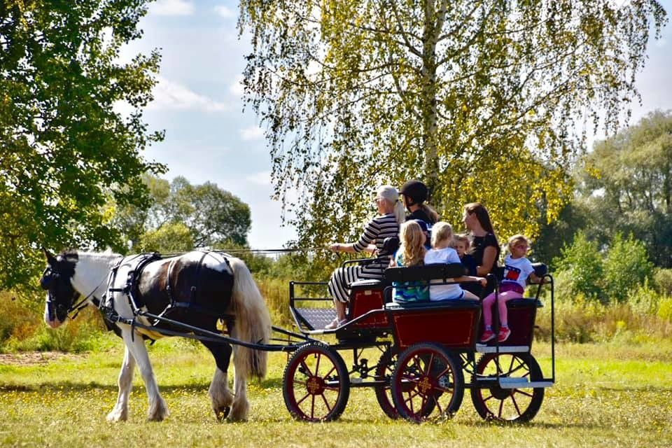 Центр конного спорта в Ихасте