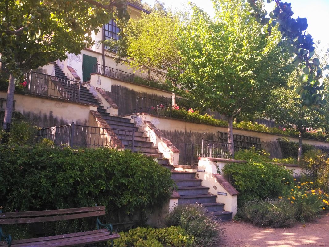 Большой Фюрстенбергский сад