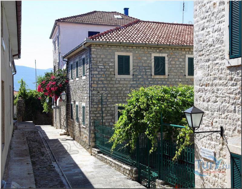 Музей местной истории