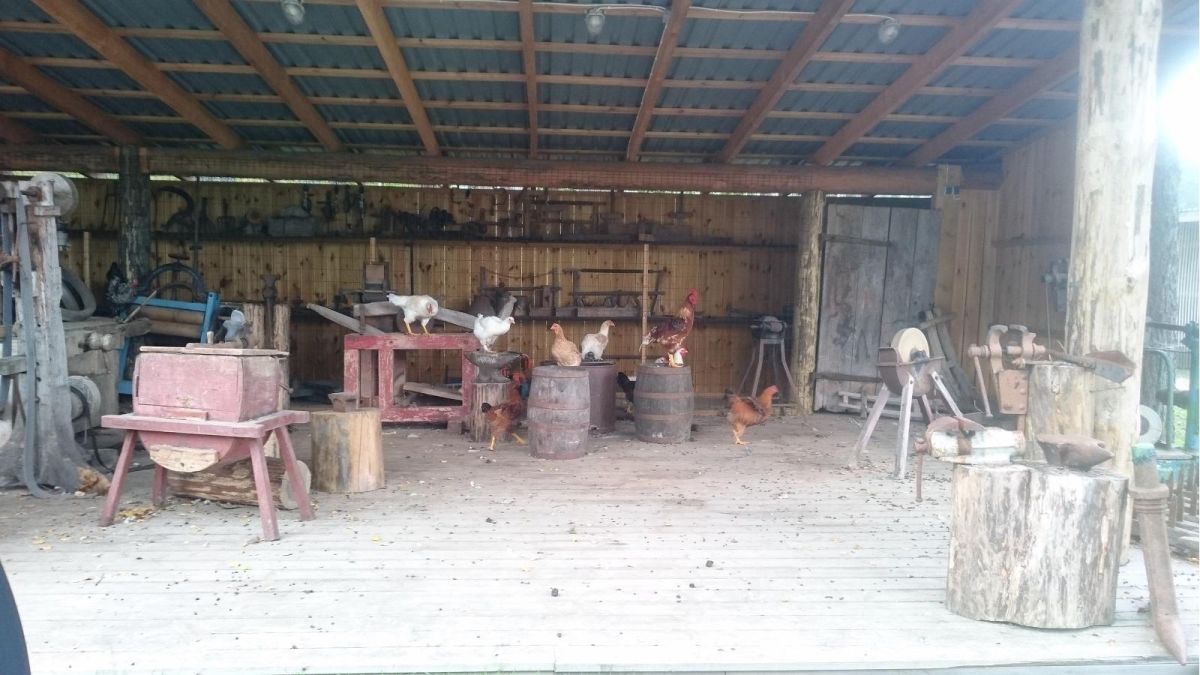 Зоопарк хутора Калласте