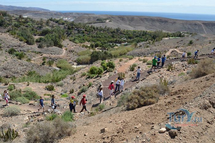 Ботанический Сад Фуертевентура