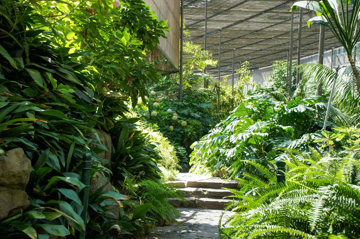 Парк Эдварда VII и Эстуфа Фриа 