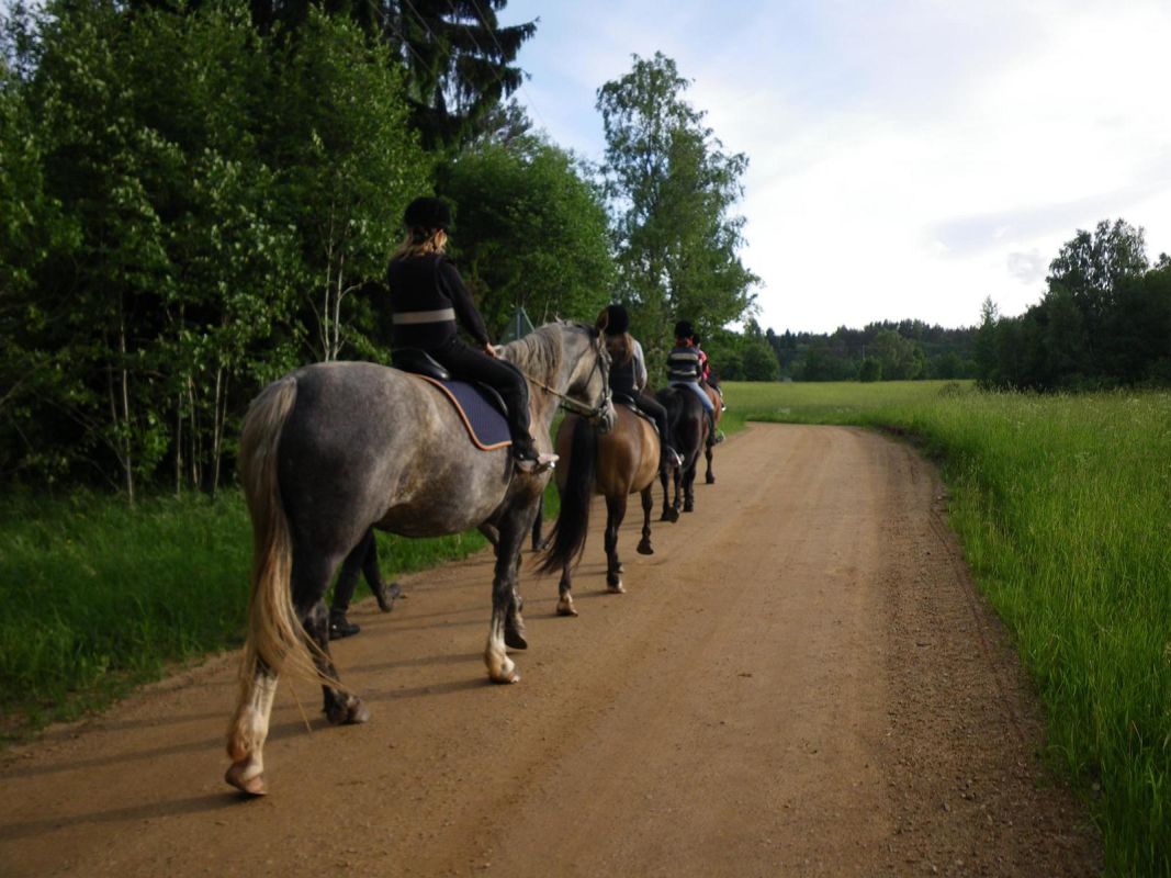 Конный хутор Карла-Эрика