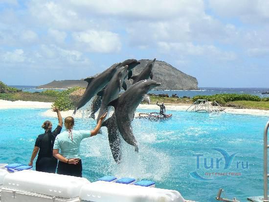 Парк Морской жизни Sea Life Park на о.Оаху