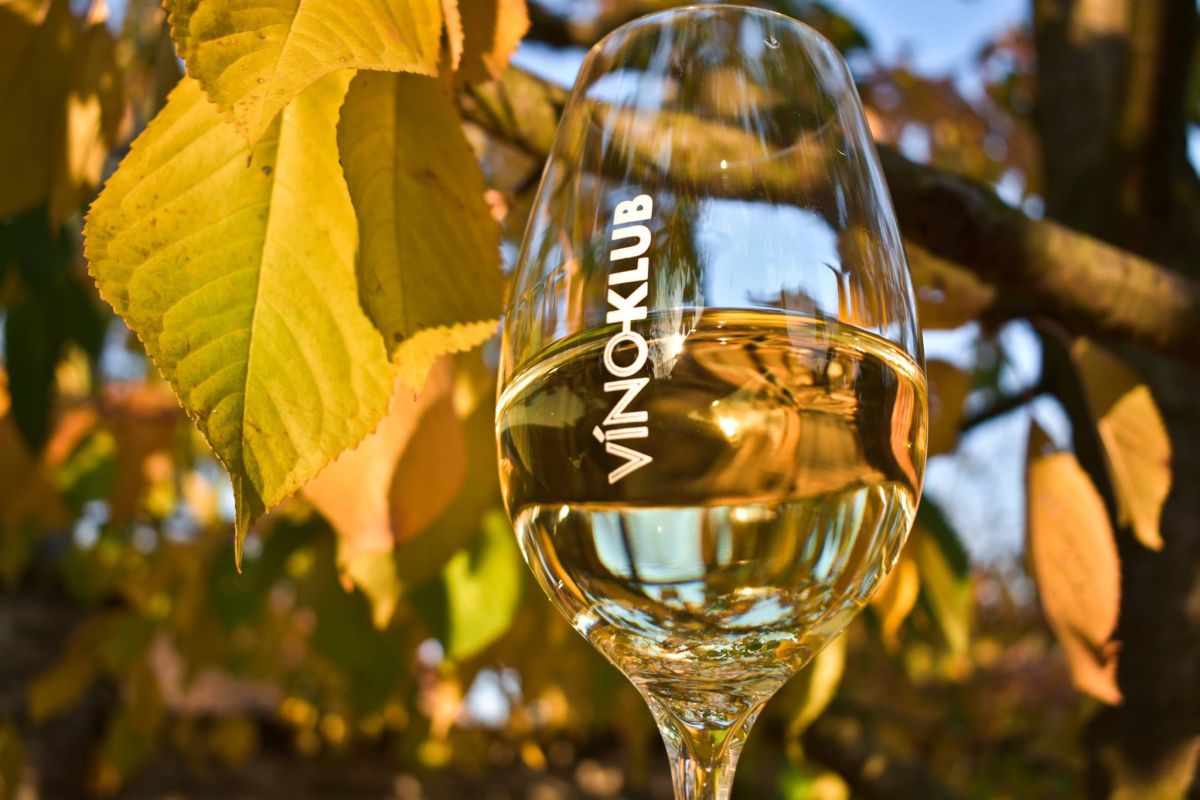 Винный клуб Víno-klub