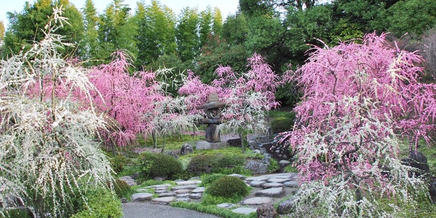 Святилище Чонангу