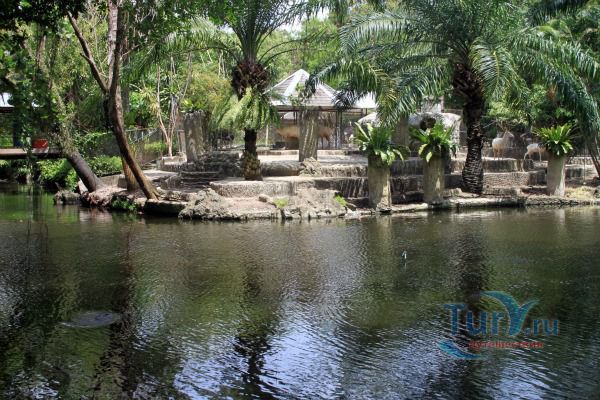 Зоопарк Пхукета