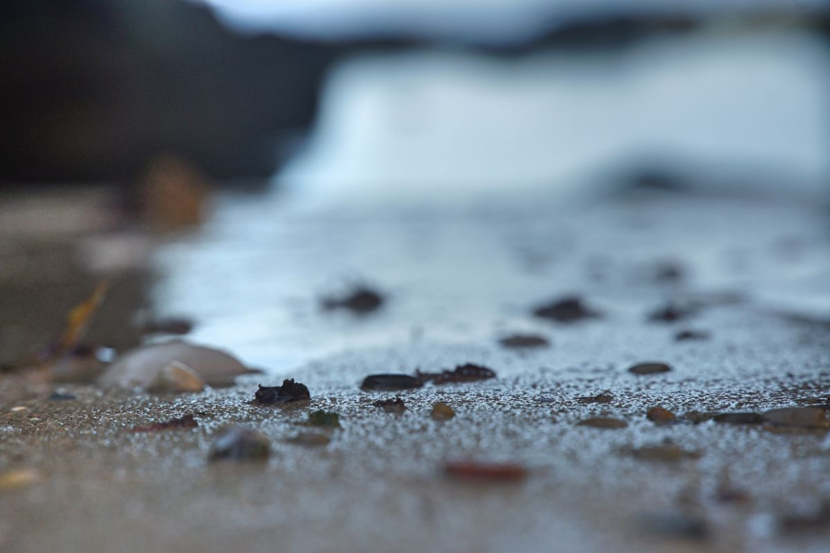 Национальный музей сопротивления и свободы