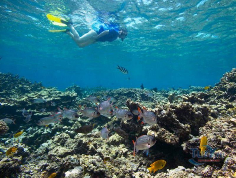 Морской национальный парк Сент-Анн