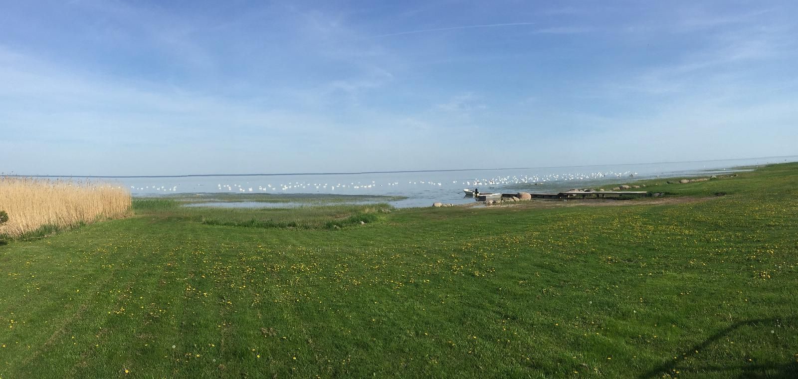 Рыбное кафе хутора Каптени