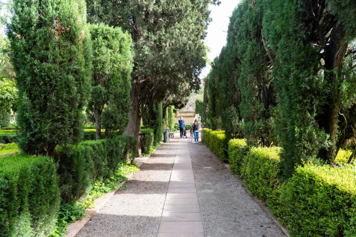 Сады Монфорт