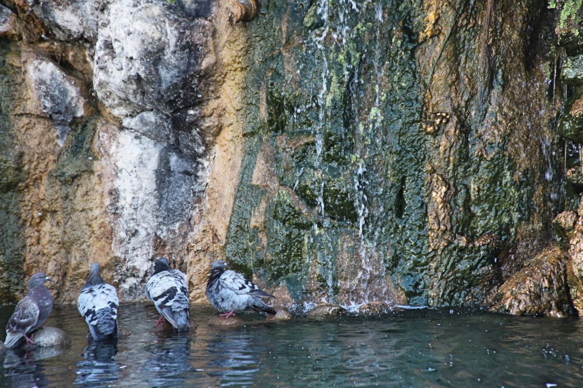 Каскад Сан-Педро