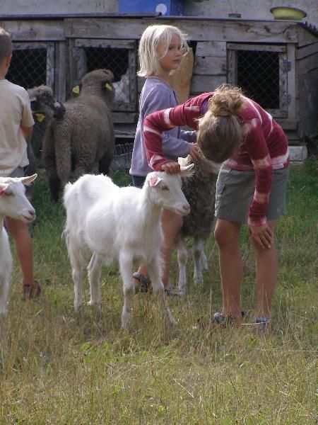 Открытый хутор Капа