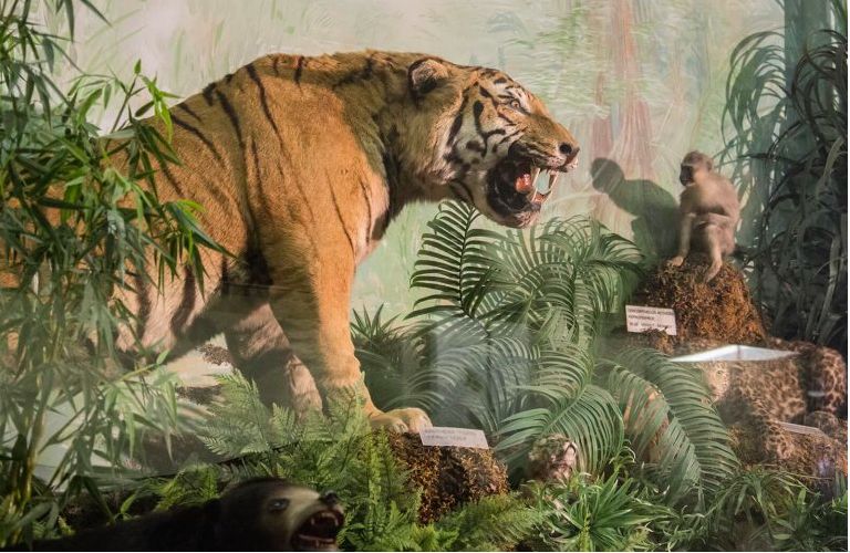 Музей естественной истории Гуландриса