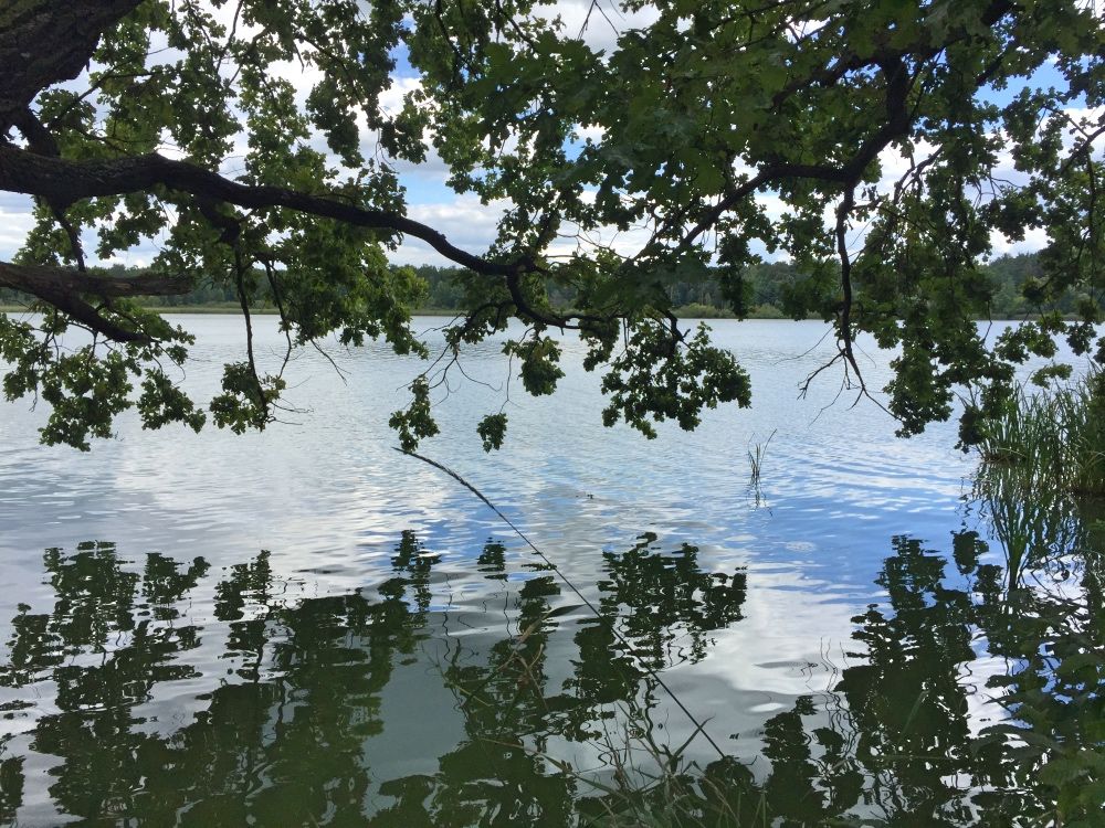 Река Тетерев