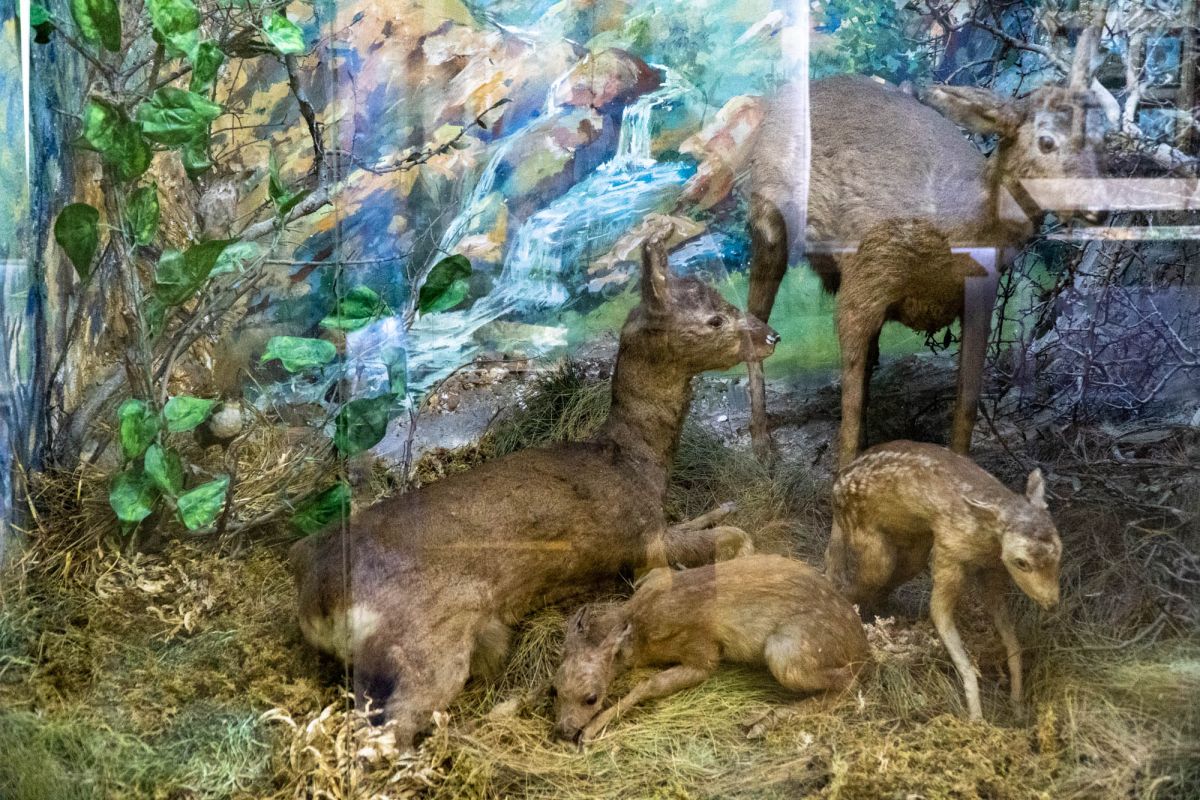 Государственный Музей Аджарии имени Харитона Ахвледиани