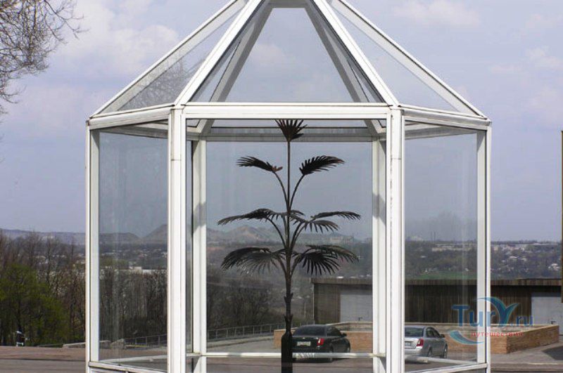 Пальма Мерцалова