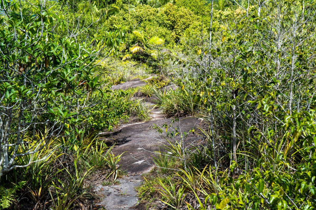 Гласис Ла Резерв Трейл