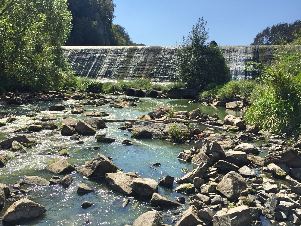 Река Тетерев