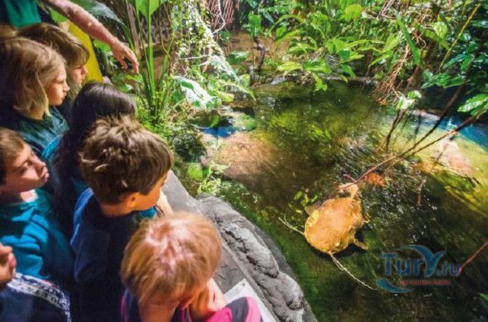 Музей Воды Аквариа