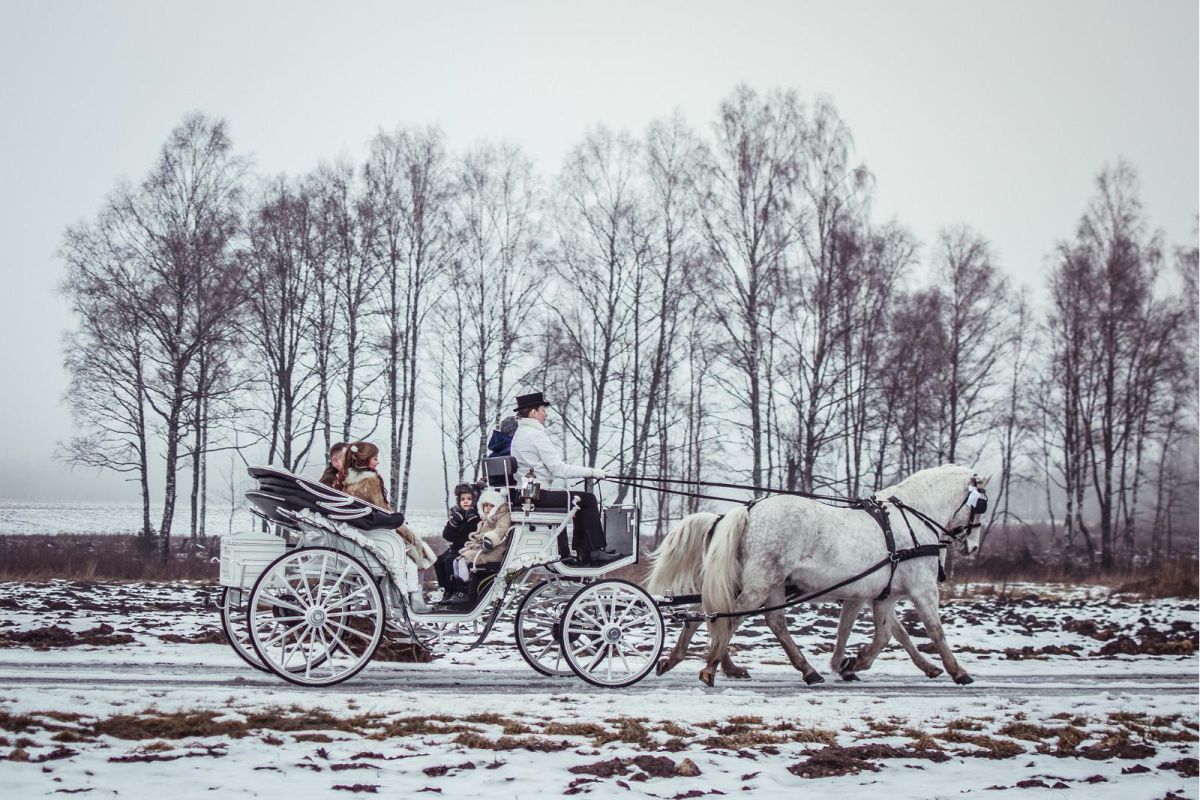 Конюшни Вооре