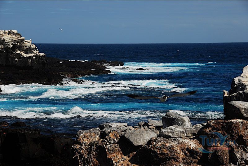 Мыс Пунта Шуарес