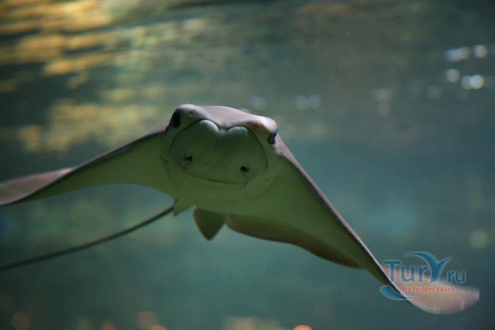 Музей Воды Аквариа