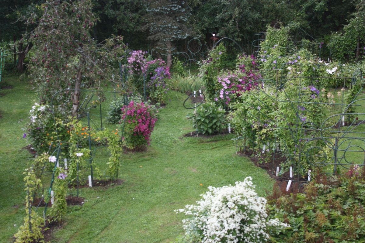 Показательный сад хутора Роогоя