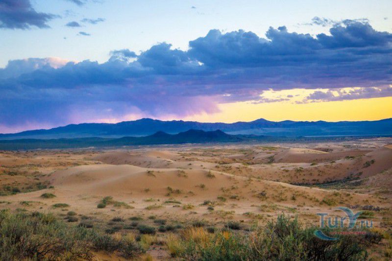 Песчаный Массив Монгол Элс