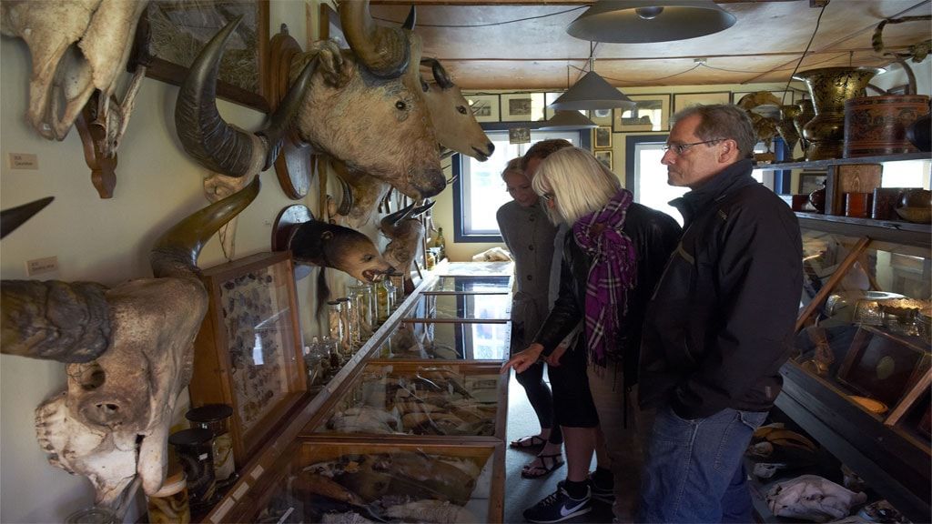 Сиамская коллекция