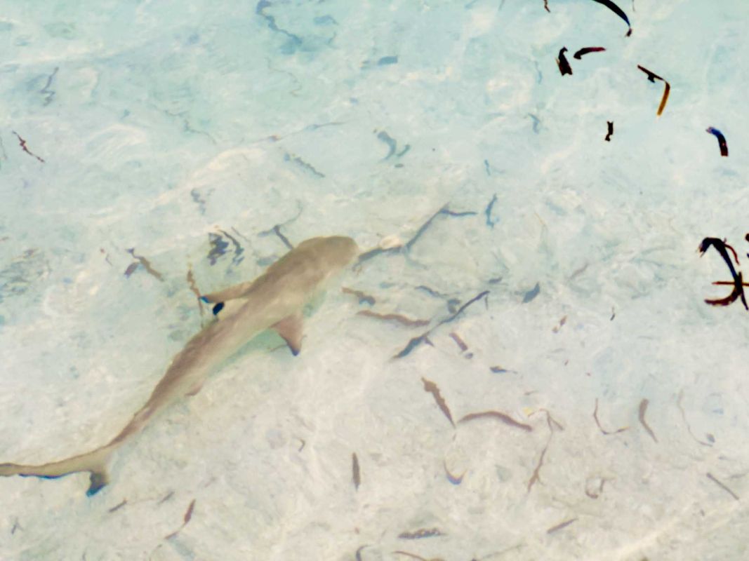 Общественный пляж Маафуши