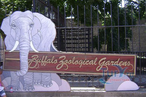 Зоопарк Буффало
