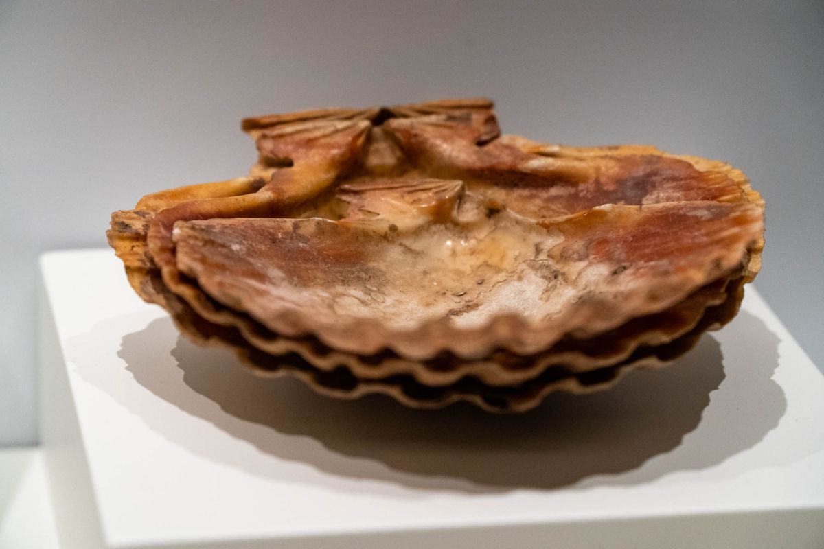 Музей доисторической эпохи Валенсии