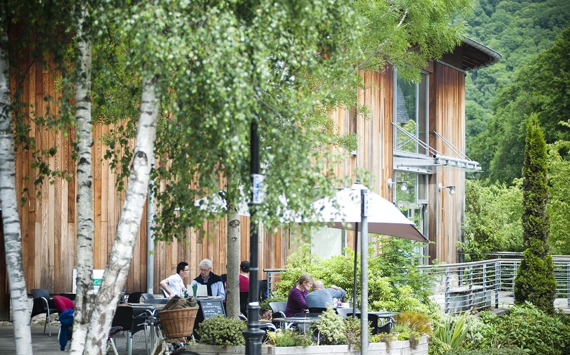 Бирнам Артс и выставка Беатрикс Поттер