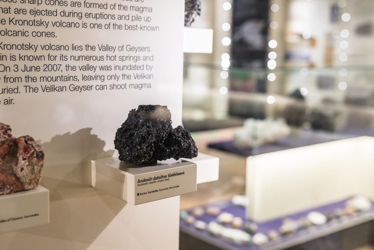 Музей естественной истории Тартуского университета