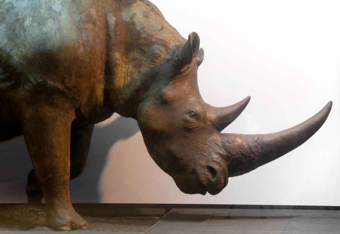 Музей Природы