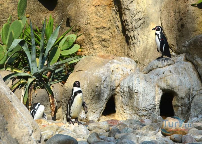 Барселонский зоопарк