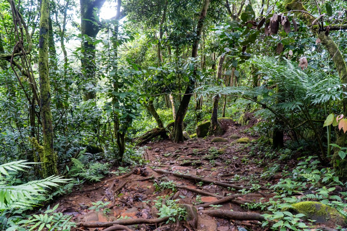 Морн Блан Трейл