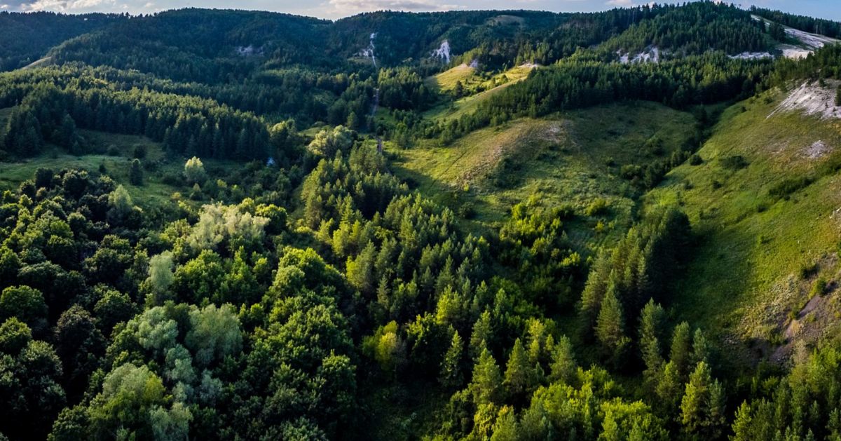 Хвалынский национальный парк