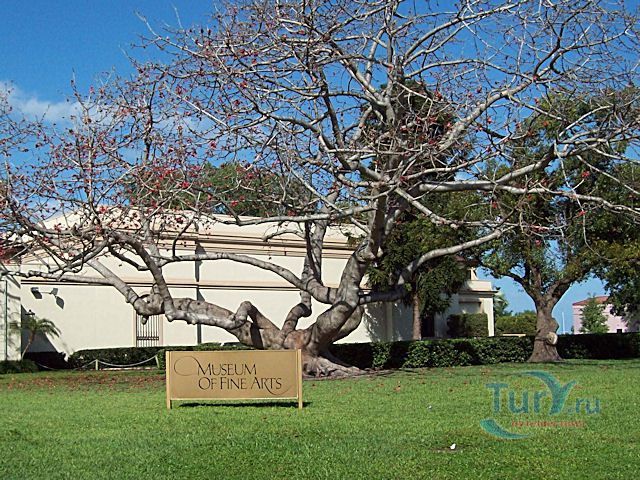 Музей изящных искусств
