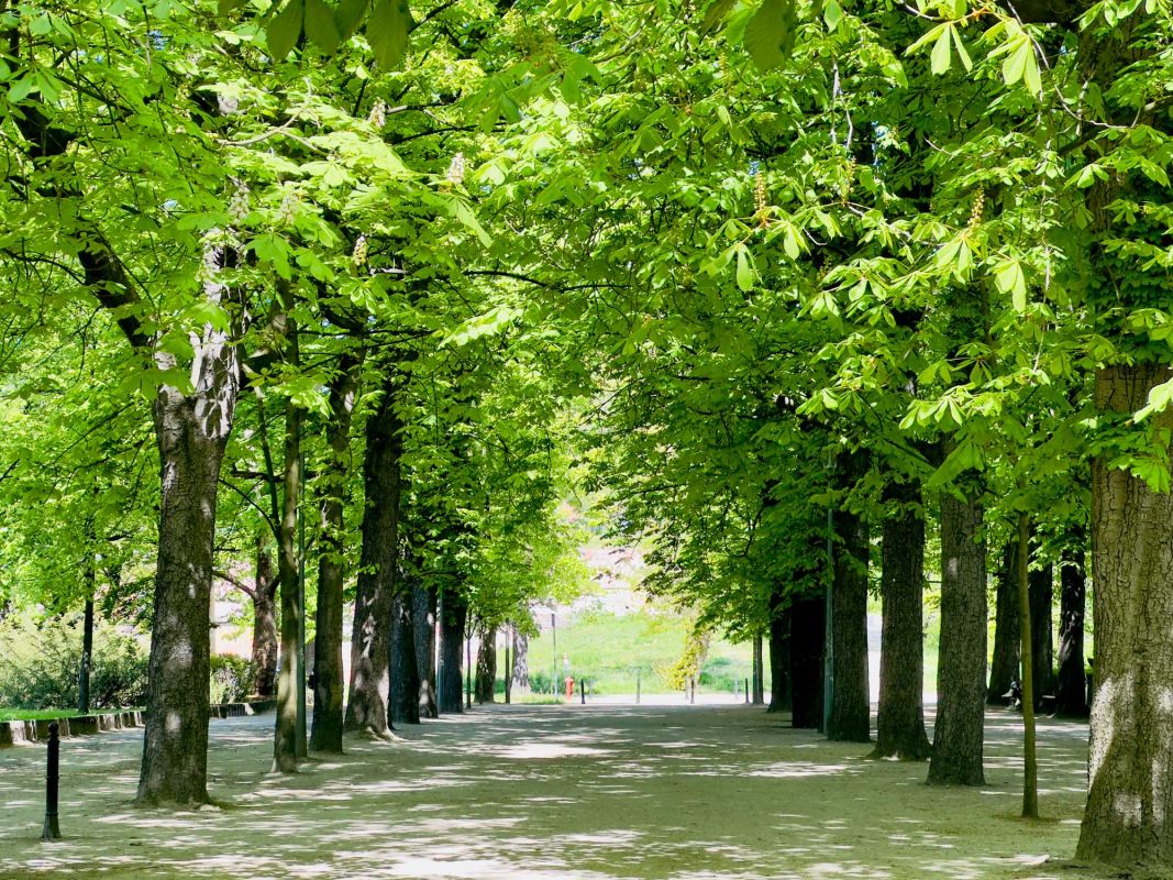 Парк Юлиуша Словацкого