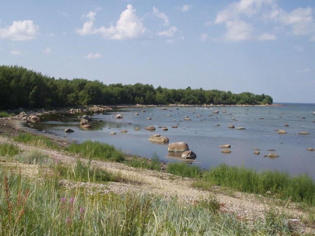 Смотровые вышки для наблюдения за птицами в Пальяссаареской заповедной зоне